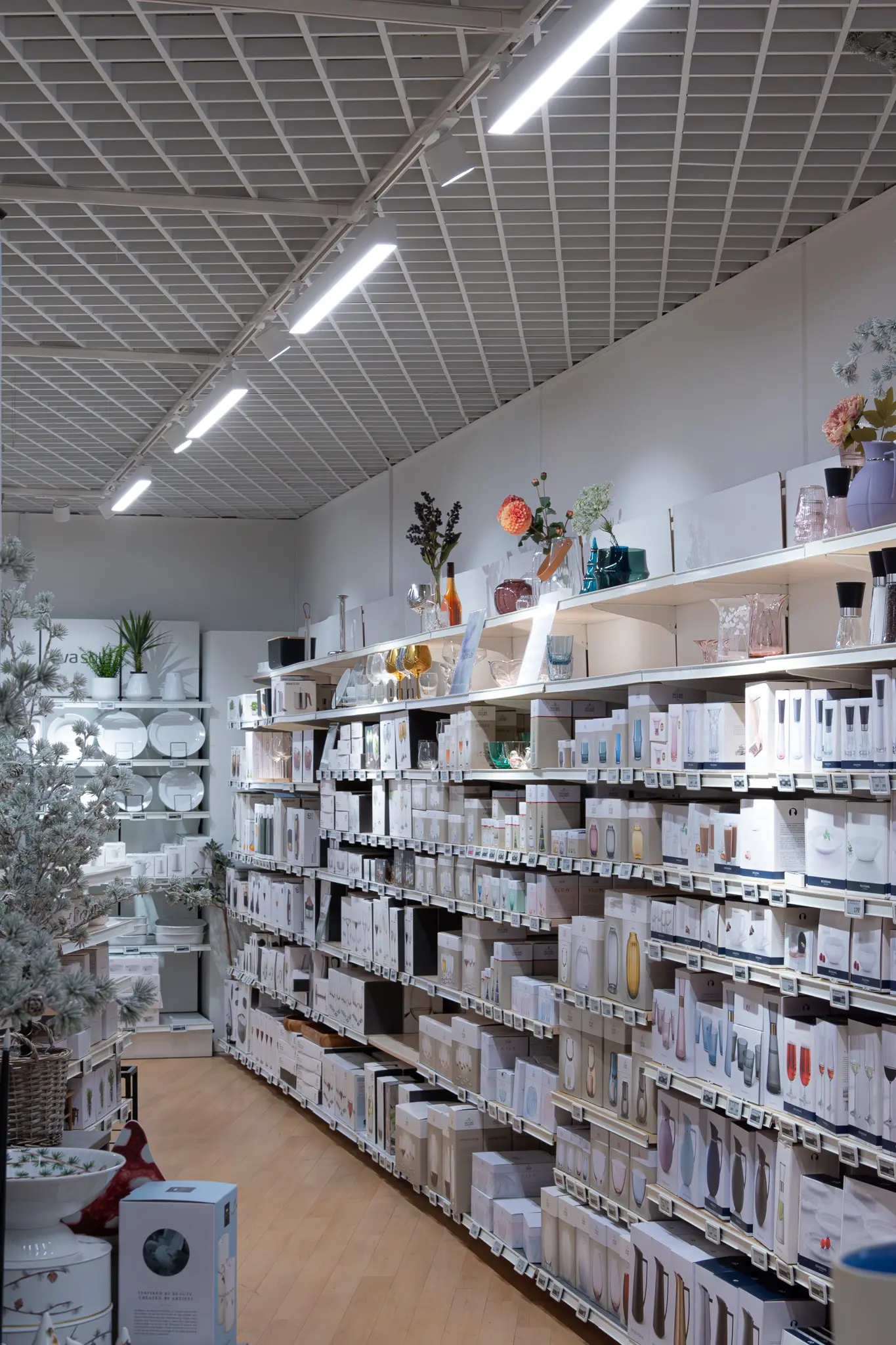 Lines of light across a store ceiling