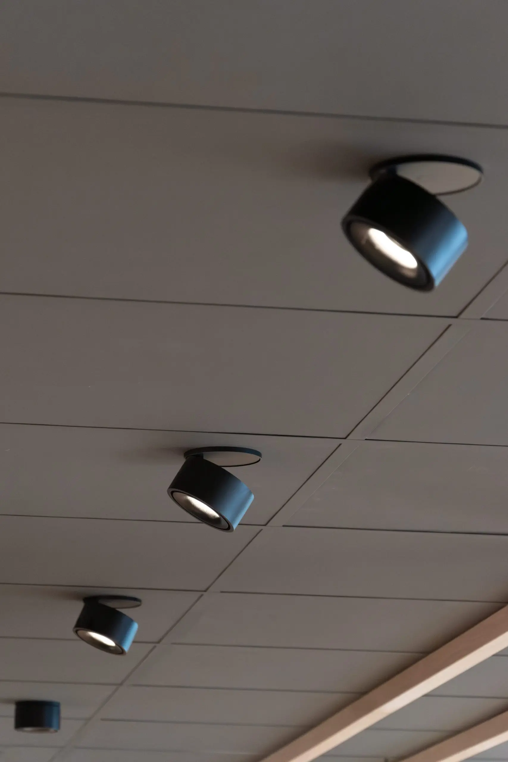 Black spotlights in a dark ceiling at Sunset Boulevard