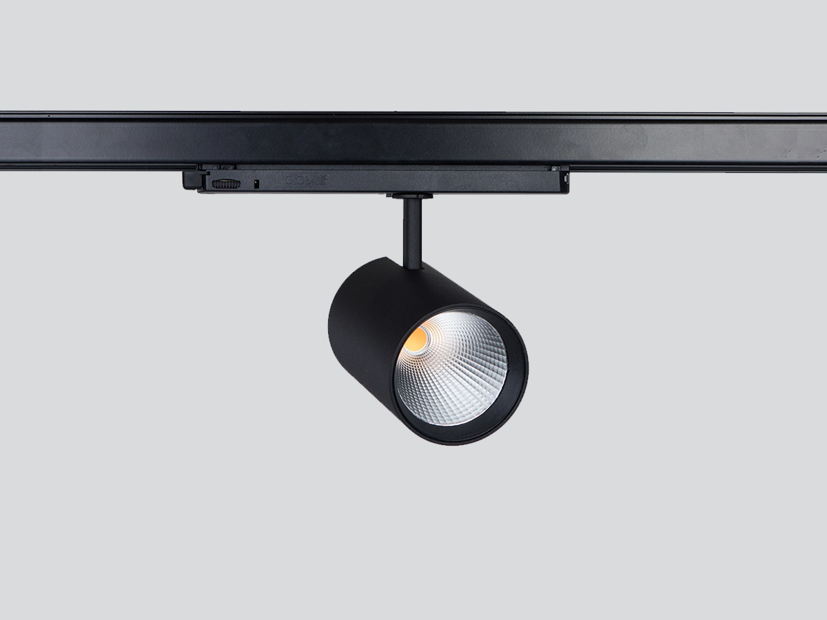 Black Dingo track light